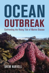 The cover of Drew's book, Ocean Outbreak: Confronting the Rising Tide of Marine Disease. A purple ochre star is featured front and center, laying on a rocky shore.